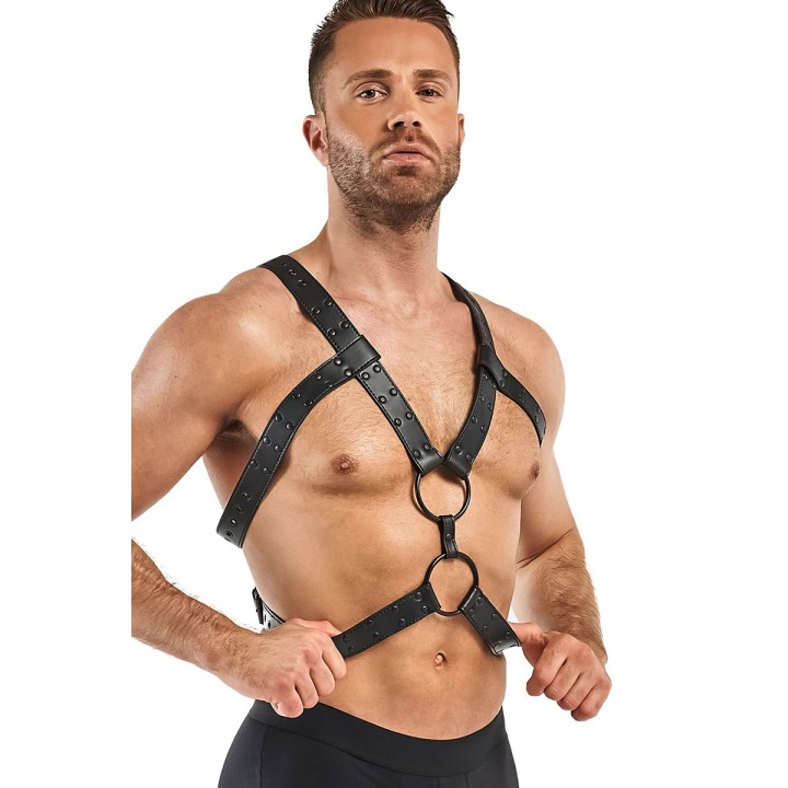 Harnais de bondage Rocco - Bedroom Fantasies