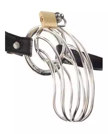 Chastity cage for penis The Prisoner - R540455