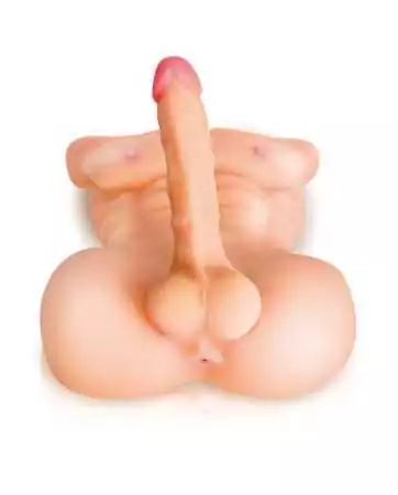 Busto realista de homem musculado com pênis ereto - CC514101
