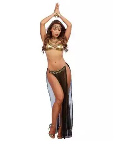 Sexy belly dancer costume - DG11859COS