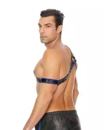 Blue and black Gladiator harness - Ouch!