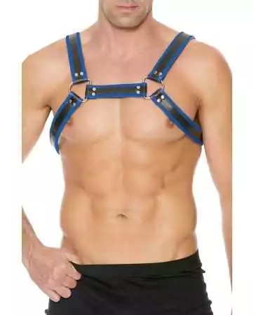 Blue Buckle Bulldog Harness - Ouch!