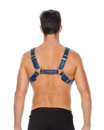 Blue Buckle Bulldog Harness - Ouch!