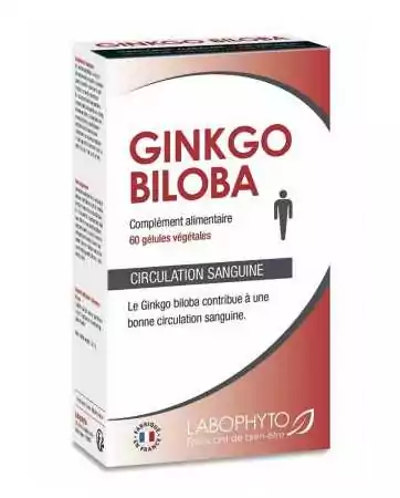 Ginkgo Biloba extra strong (60 capsules)