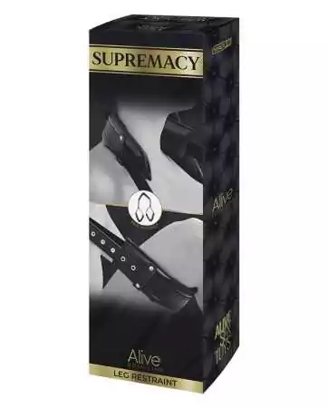 Restrição de coxas Supremacy - Alive