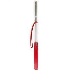 Cravache Métal Courte mèche Longue Rouge