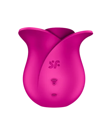Rose clitoris stimulator with pressure waves or contactless Pro 2 Modern Blossom Satisfyer - CC597841