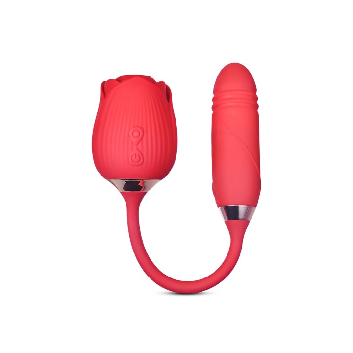 Stimulateur à va-et-vient et aspiration Blisslink - DIK - Oralove