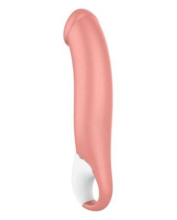 Vibromasseur Master - Satisfyer16172oralove