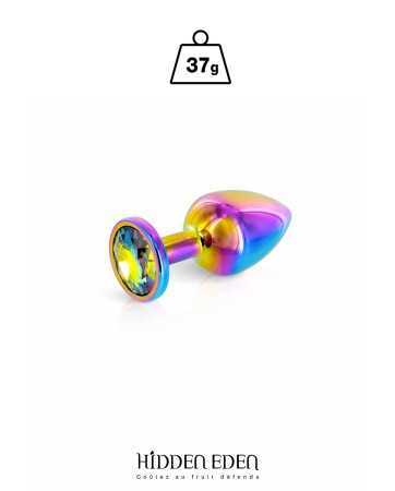 Plug bijou aluminium Rainbow XS - Hidden Eden17914oralove