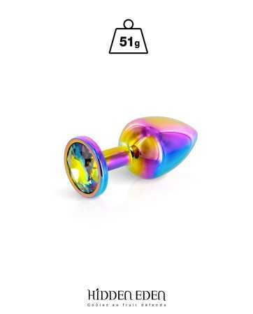 Plug bijou aluminium Rainbow S - Hidden Eden17915oralove