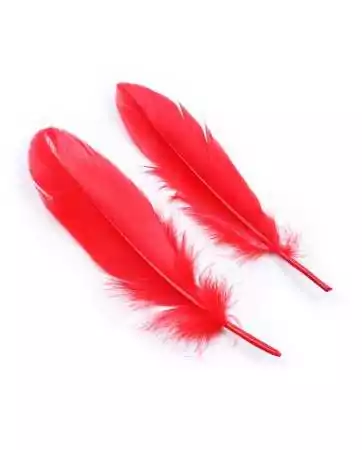 Kit coquin 4 pièces : Menottes, 2 plumes et masque rouge - 332400005